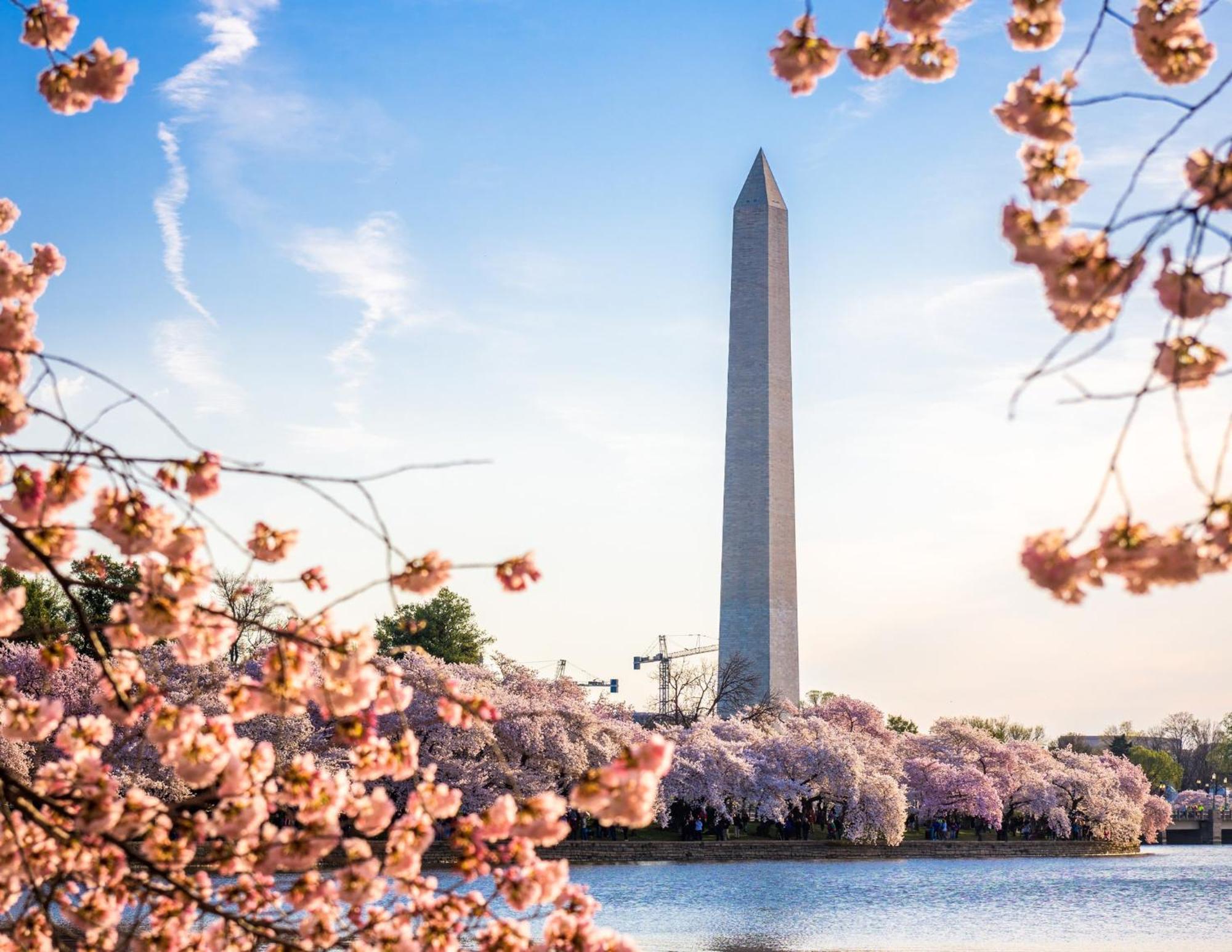 Staybridge Suites Washington D.C. - Greenbelt By Ihg Lanham Extérieur photo